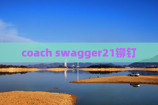 coach swagger21铆钉